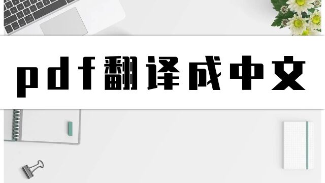 PDF如何翻译成中文?这招给PDF翻译成中文教程学习起来