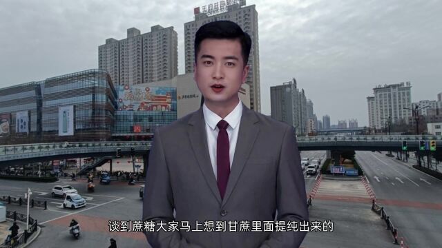 低聚糖和蔗糖是不是一样的有何区别08.26