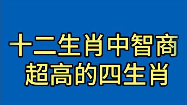 十二生肖中智商超高的四大生肖,看看有你吗?