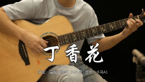 吉他弹唱 | 《丁香花》cover唐磊