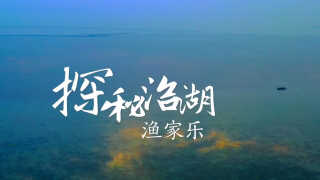 探秘沿湖渔家乐:在中国最美渔村方巷镇沿湖村,感受湖泊畔、蛙声中、湖鲜里的渔文化!