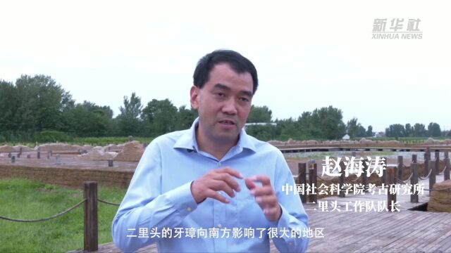 听文物讲故事 | 牙璋:夏朝文化广域传播的“佐证”