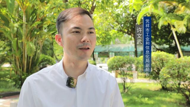 【奋进新征程 建功新时代ⷩž凡十年】凭祥:加速转型升级 工业跨越发展