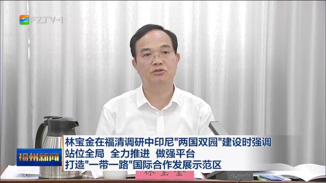 林宝金在福清调研中印尼“两国双园”建设