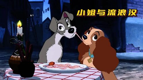 经典动画《小姐与流浪汉》富家狗狗爱上流浪狗，浪漫的狗粮