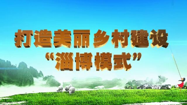 山东淄博农村精神文明建设汇报片 梵曲配音