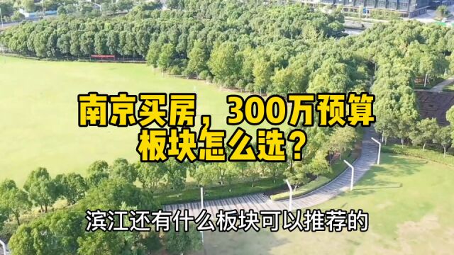 南京买房攻略:300万左右的预算,适合买兴智中心板块吗?