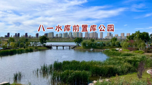 长春八一水库前置库湿地公园,依永春河而建,航拍八一水库