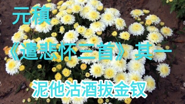 《遣悲怀三首》其一 唐 元稹 野蔬充膳甘长藿,落叶添薪仰古槐.