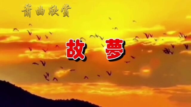 洞箫吹奏《故梦》,悠悠古韵,清新淡雅,空灵的箫声,宛如身临其境