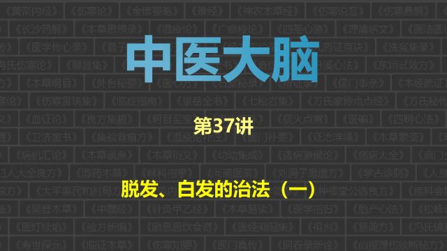 中医大脑,第37讲:脱发、白发的治法(一)