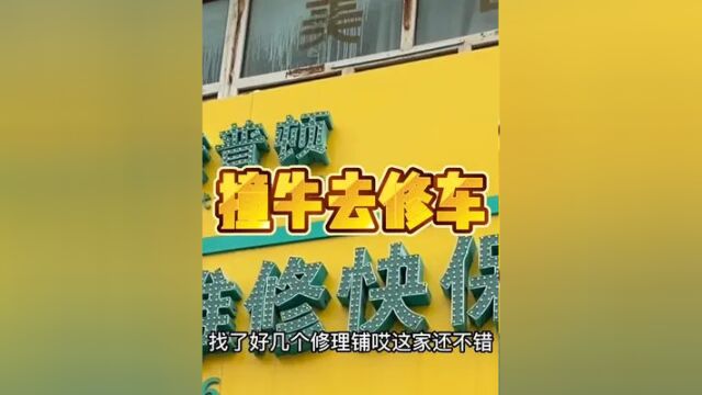 这修车店的名字一直没记住但技术是扛扛的