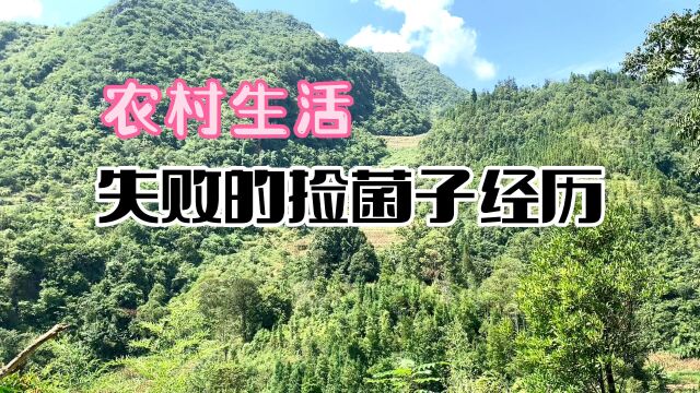 靠山吃山的农村生活,失败的一次捡菌子经历,人生虽然有遗憾,但也应倍感珍惜