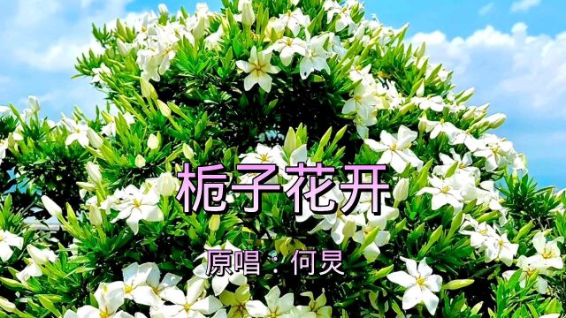 歌曲《栀子花开》