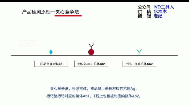 侧向免疫层析的多种设计