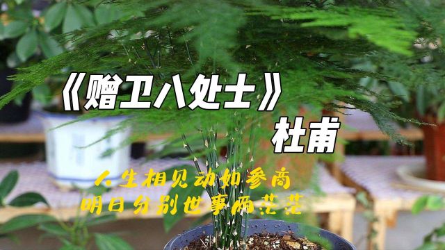 《赠卫八处士》杜甫,人生相见动如参商,明日分别世事两茫茫