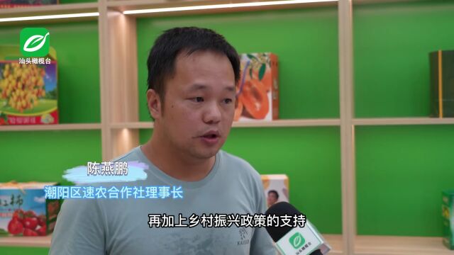 【这十年 多彩汕头】潮阳•阡陌交通丨高速公路网络覆盖全区各镇 出行更便利产业大发展