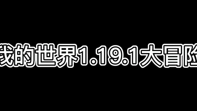 我的世界1.19大冒险