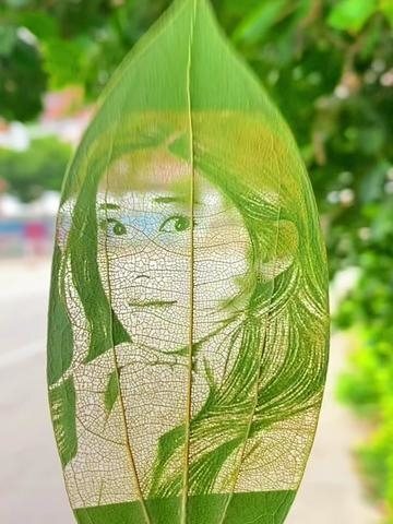 终于雕刻好了大家帮我看看像不像?#赵露思 #叶雕 #树叶画