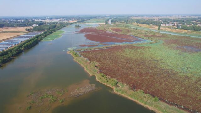 民权黄河故道国家湿地公园也是河南省唯一一处国际重要湿地美景