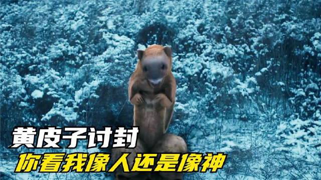 民间传说中,黄皮子如果向你讨封,千万要谨慎_腾讯视频