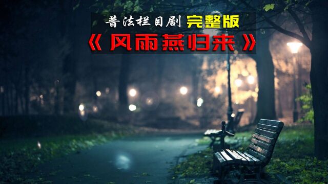 普法栏目剧《风雨燕归来》完整版