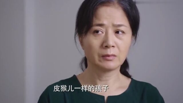 前妻:罗美珍全剧三观最正,被婆婆拉进泥潭,却落得这结局