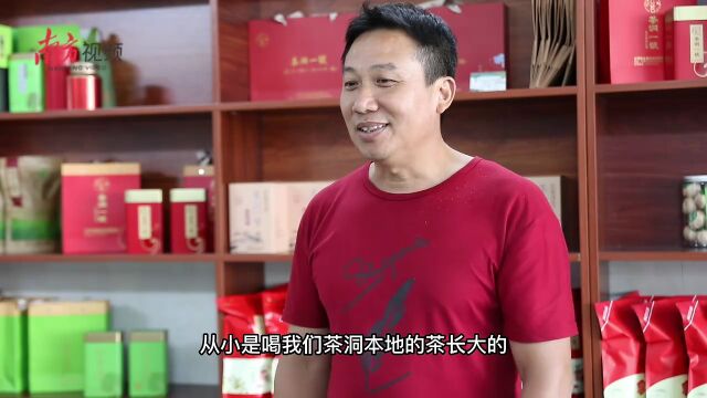 云浮青春合伙人|李汉健:从种茶“门外汉”到“省农村乡土专家”