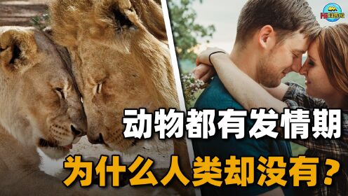 为什么动物都有发情期,而人类却一年四季都可以交配?_高清1080P在线观看平台_腾讯视频