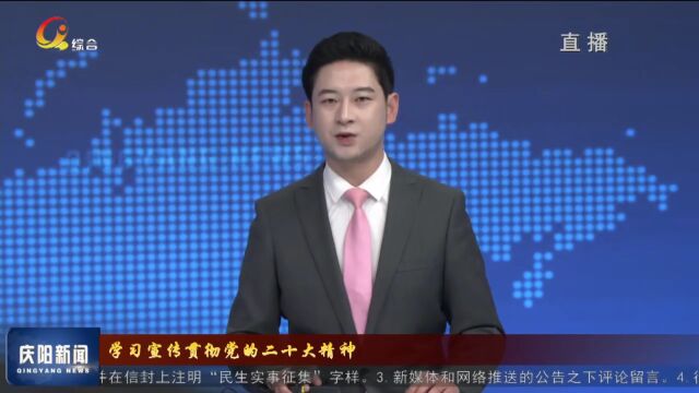 【学习宣传贯彻党的二十大精神】环县:以党的二十大精神引领乡村振兴全面推进