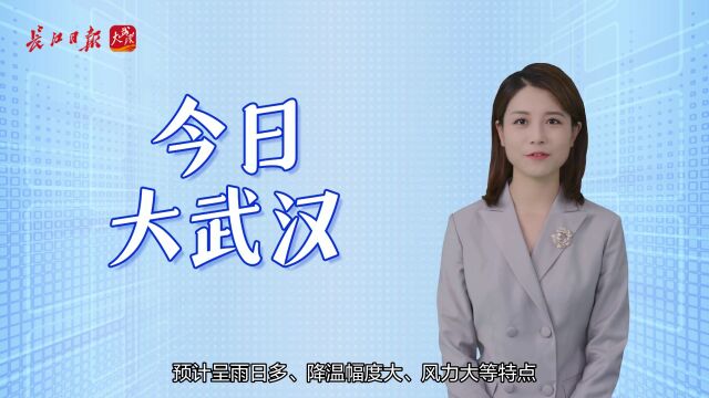 今日大武汉|①楚才开始报名②降14℃,断崖式降温来了③盘龙大桥下月可交付