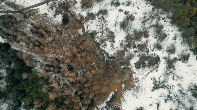 我的航拍日志:长春市净月潭五A级国家森林公园