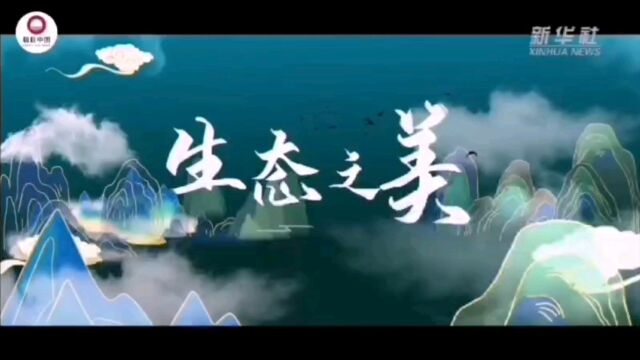 广大物流211第四团小组