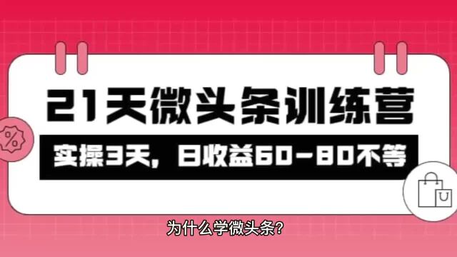 被忽视的微头条,21天微头条训练营