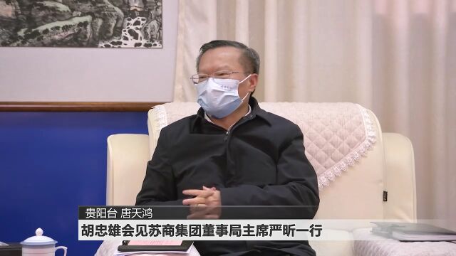 胡忠雄会见苏商集团董事局主席严昕一行