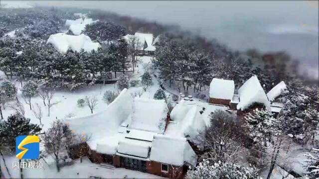 早安山东|四部门:未经批准,任何法人、非法人组织不得在名称中使用“银行”字样;纪录片《长山列岛》亮相《时代周刊》;2024年巴黎奥运会门票预售...