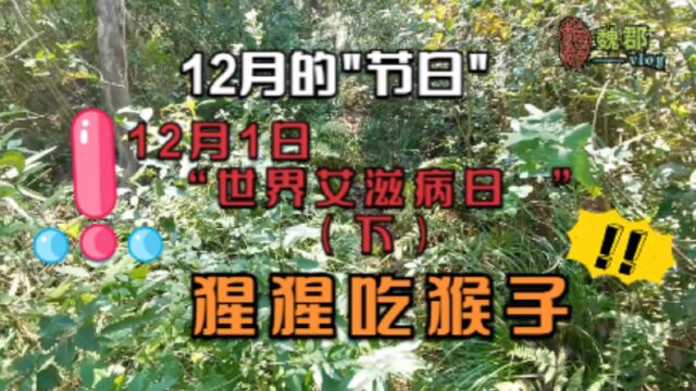 魏郡:《12月的节日》12月1日“世界艾滋病日 ”(下),猩猩吃猴子