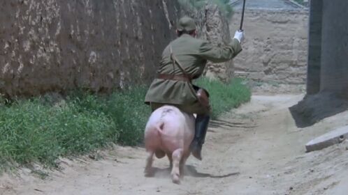 举起手来:鬼子队长骑猪这段,据说当时整个剧组都笑喷了!