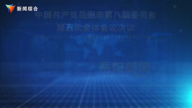 《岳阳新闻》2022年12月8日