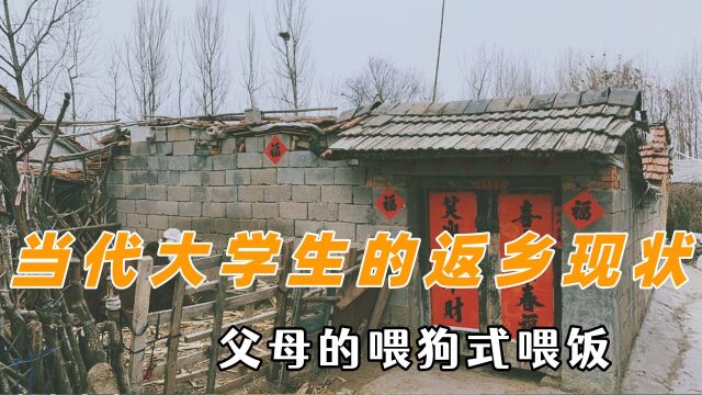 当代大学生的返乡现状,父母的喂狗式喂饭,他们大学生不是大病毒