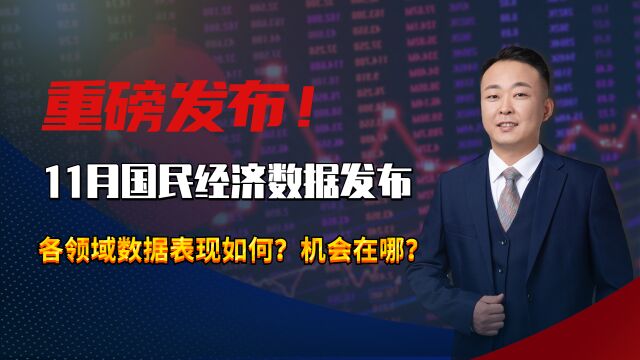 重磅发布!11月国民经济数据发布,各领域数据表现如何?