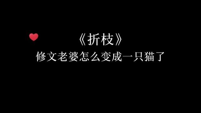 段凌:我那么大的一个老婆呢?#折枝 #广播剧 #金弦 #谷江山