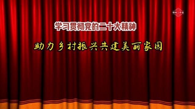 海丰县老年人体育协会 海城镇新望村党总支村 委会 2022年12月17日 联欢晚会在该村举行.