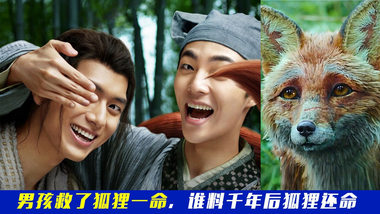 男孩救了狐狸一命，谁料千年后狐狸还命_高清1080P在线观看平台_腾讯视频