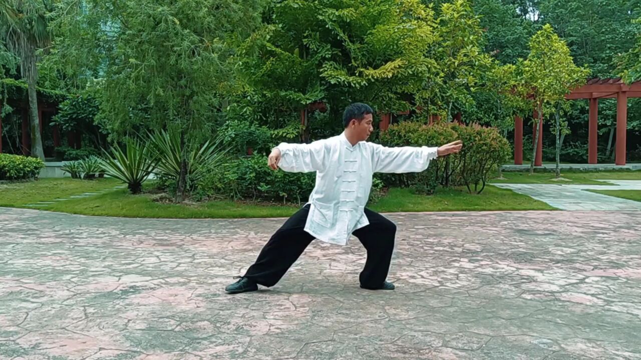 传统杨式太极拳85式(完整版),打得太棒了!_高清1080P在线观看平台_腾讯视频
