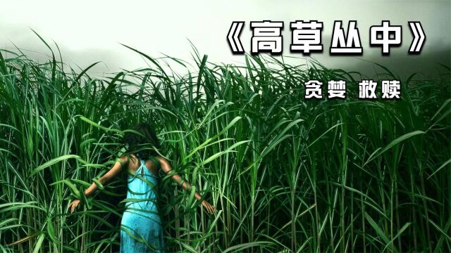 好心救人却被坑!兄妹俩误入恐怖草丛,陷入无限循环《高草丛中》