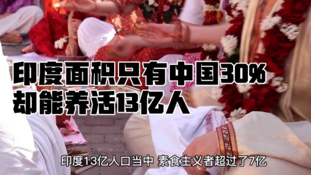 神奇的印度:印度面积只有中国的30%,却能养活13亿人