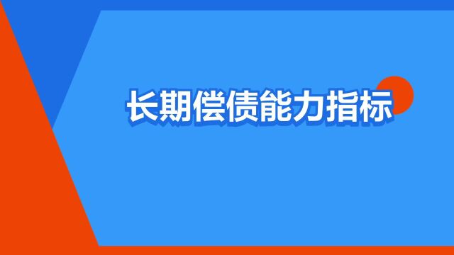 “长期偿债能力指标”是什么意思?