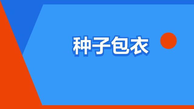 “种子包衣”是什么意思?