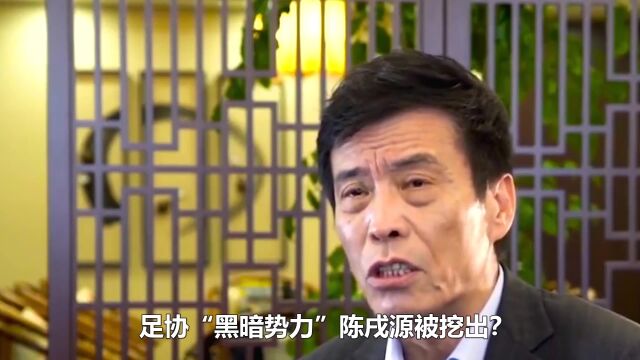 陈戌源成中国足协“黑暗势力”?回顾执教策略,网友:乌烟瘴气